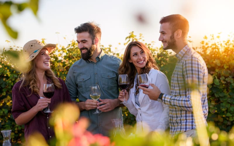 Hunter Valley Tour Wine & Foodie Experience - main image