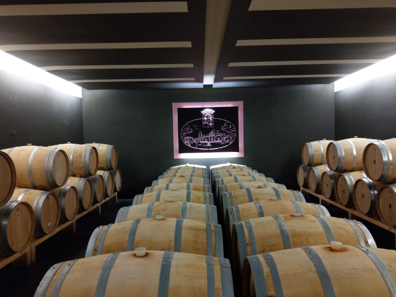 Oak barrel cellar used for aging Médoc wines visited on a guided wine tour from Bordeaux