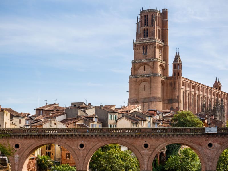 View of Albi historic city and cathedral