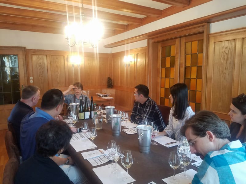 Guided wine tasting during an Alsace Wine Route half-day tour from Colmar