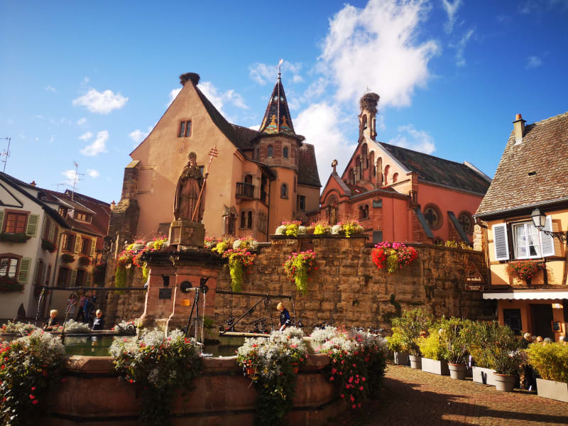 Colorful circular streets of Eguisheim explored during Alsace highlights tour from Colmar