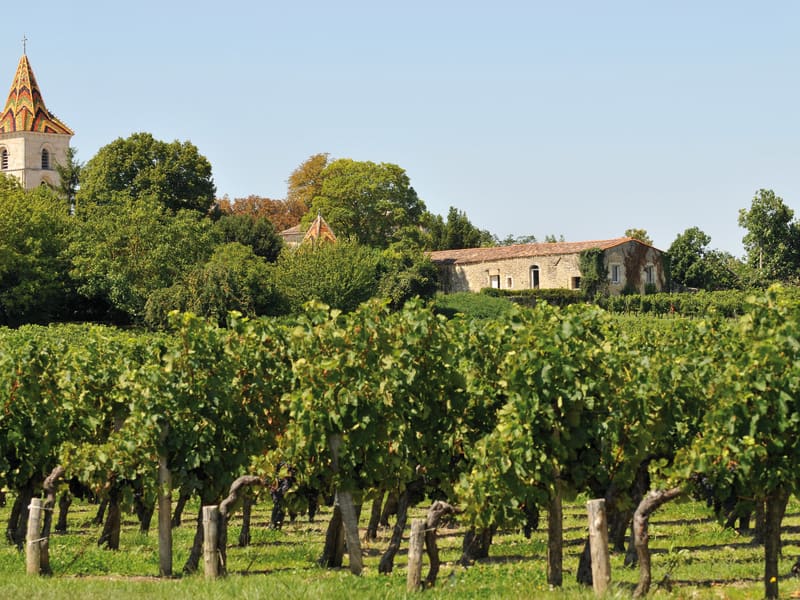 View of Meursault vineyards in Burgundy with rows of vines leading down towards the village and church tower under a bright blue sky