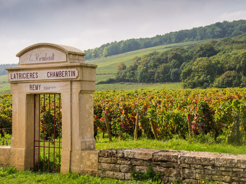Grand Cru vineyard sign in Côte de Nuits Burgundy