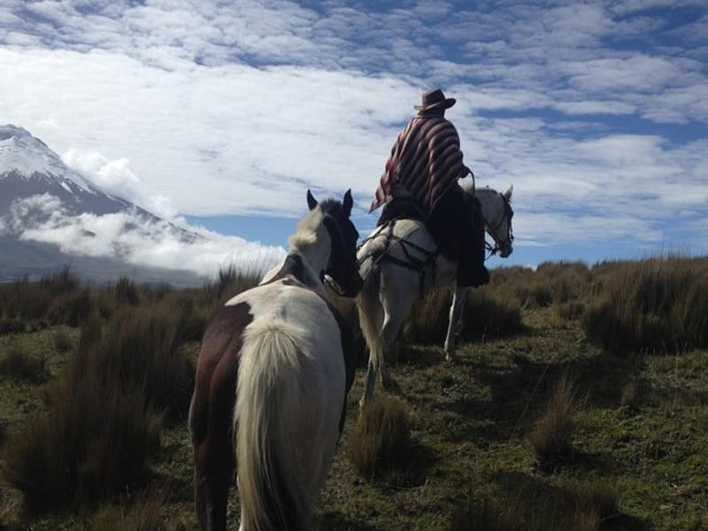 5-Day Andes and Amazon Adventure - main image