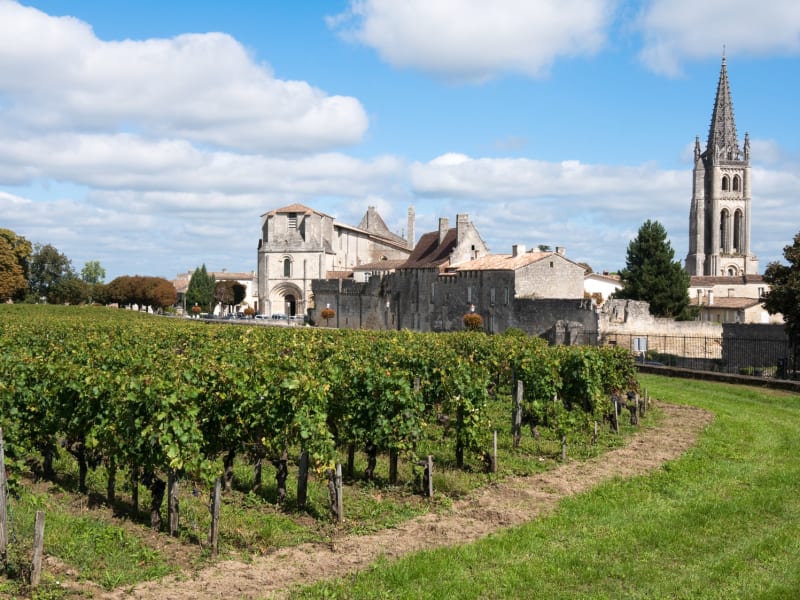 Panoramic view of Saint‑Émilion medieval village surrounded by Bordeaux vineyards under a soft sky.