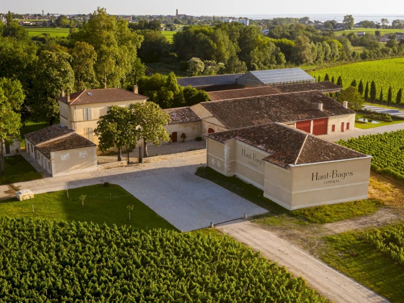 Aerial view of Château Haut-Bages Libéral surrounded by vineyards in Pauillac