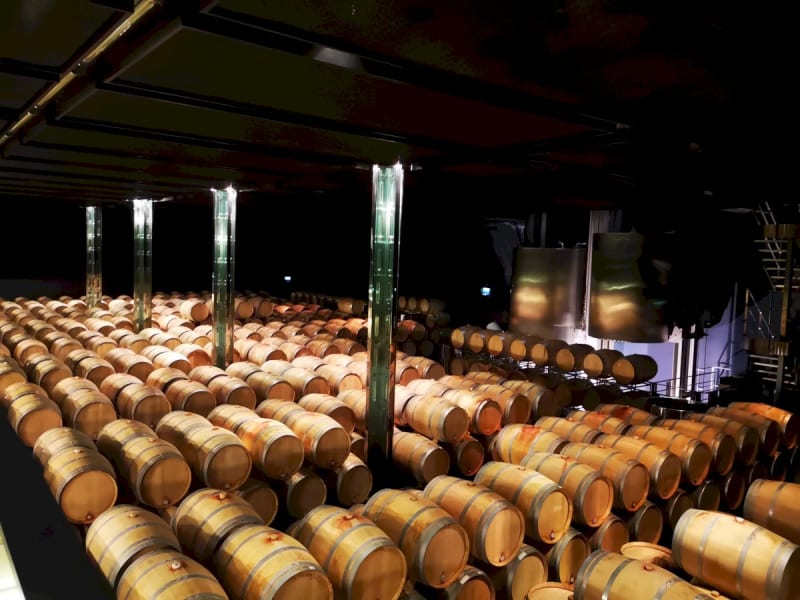 Modern gravity-flow cellar with French oak barrels aging Château Cos d'Estournel Saint-Estèphe wine