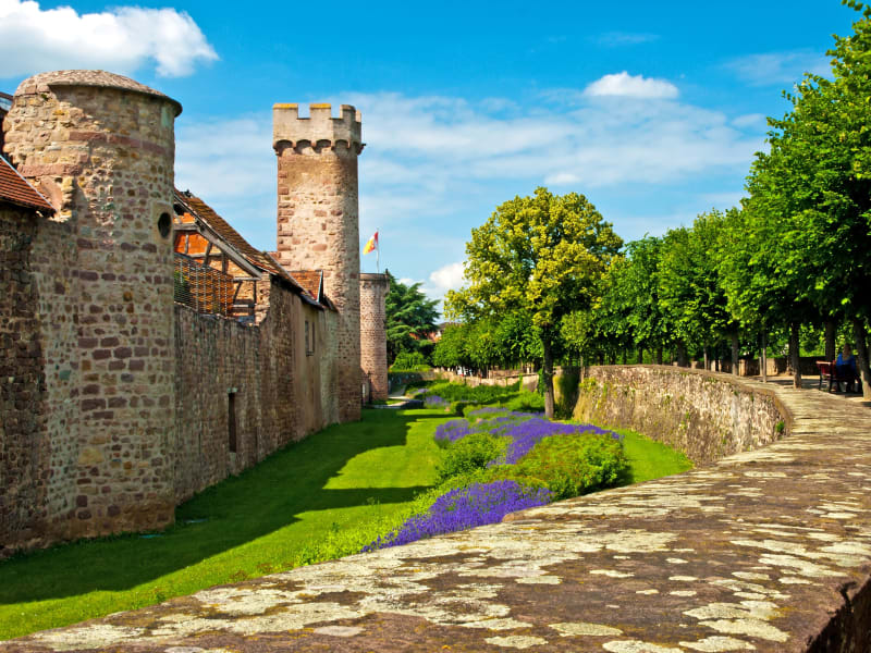 Stone ramparts and towers of Obernai with a grassy moat and flowers