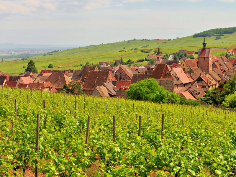 8-Day Alsace & Burgundy Small Group Package Wines & Culture - main image