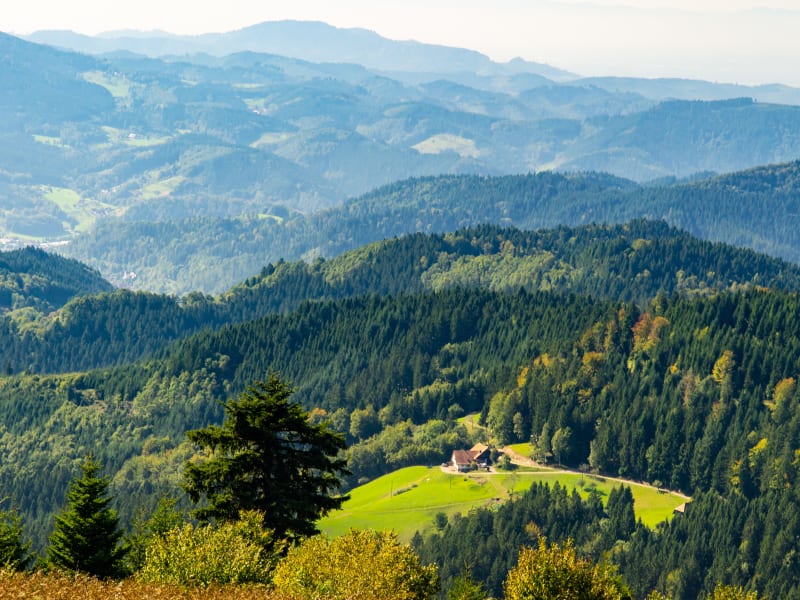 Rolling Black Forest hills and valleys near Mummelsee on a sunny day