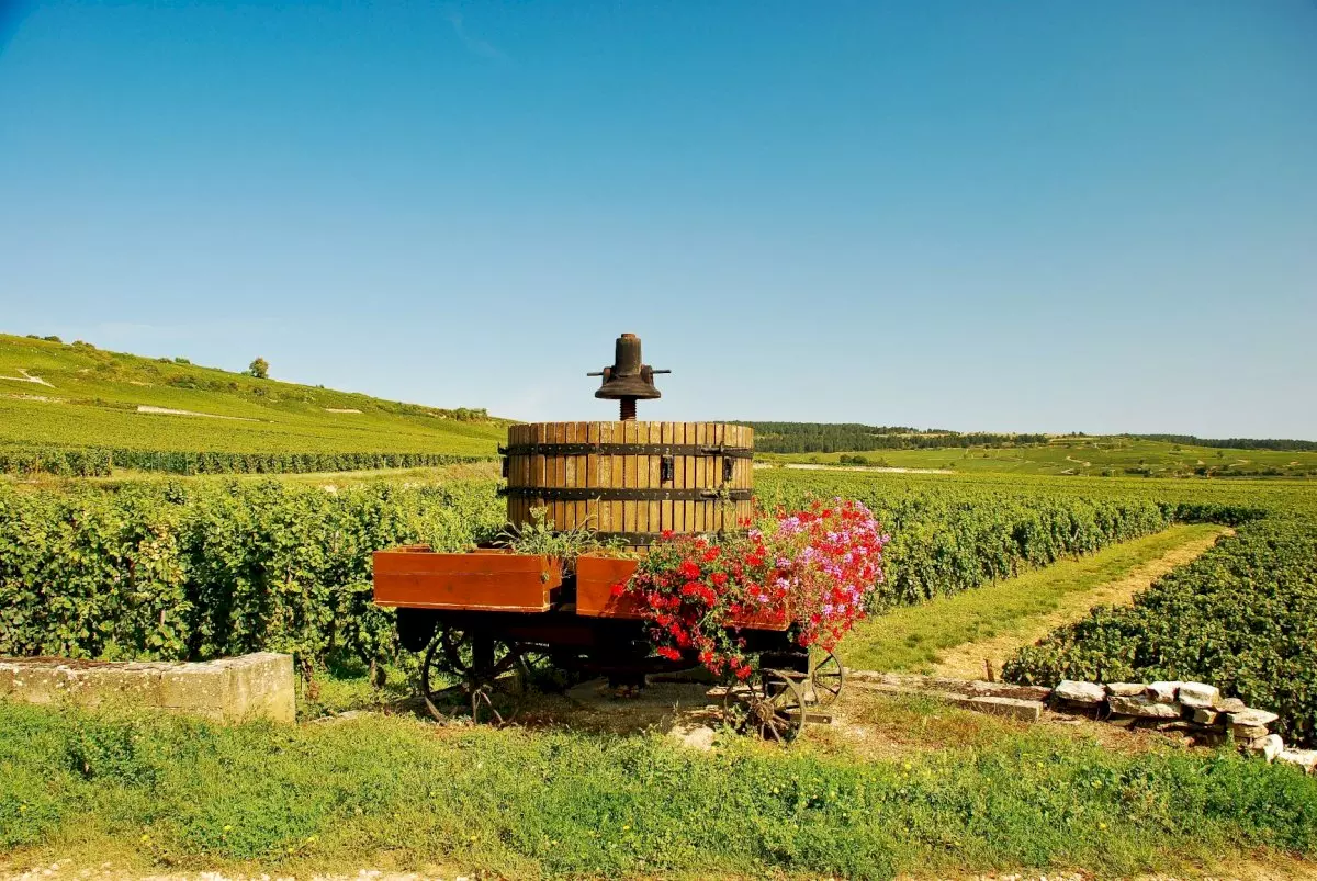 Winery visit