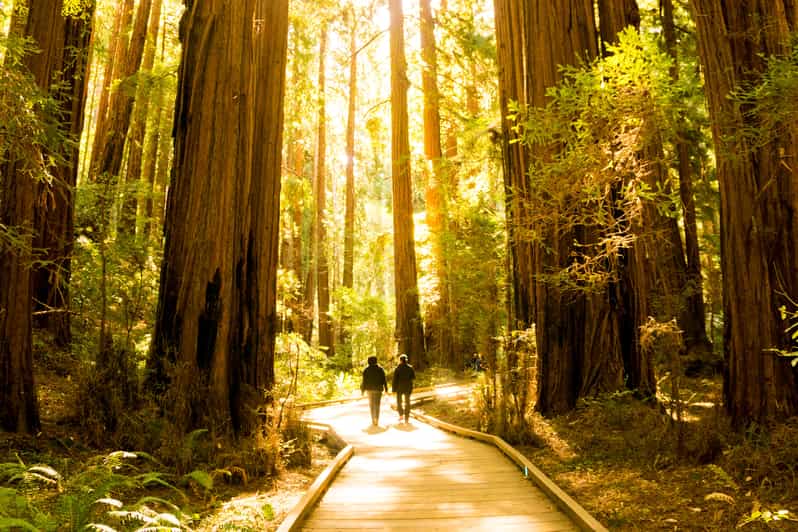 Muir Woods Dining Adventure