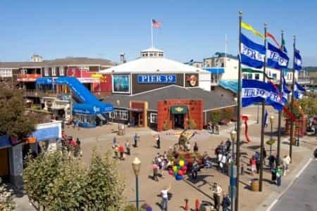 Pier 39 Sea Lions