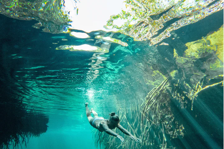 Cenote Swimming