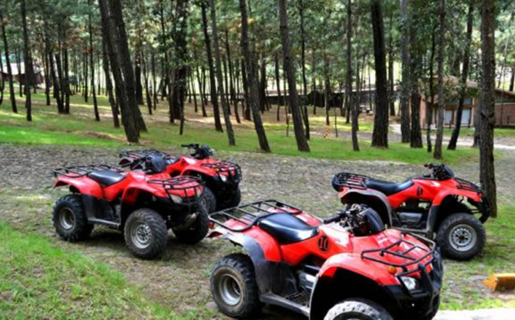 ATV Forest Ride