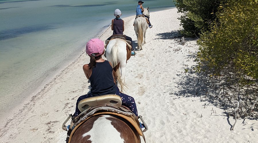 Beach Ride Start