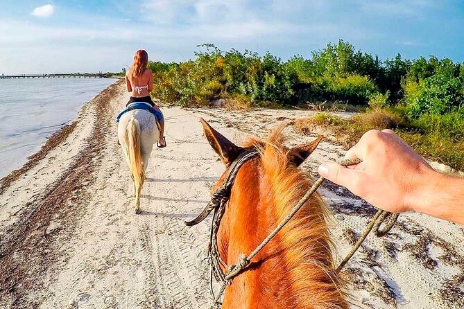 Mangrove Trails