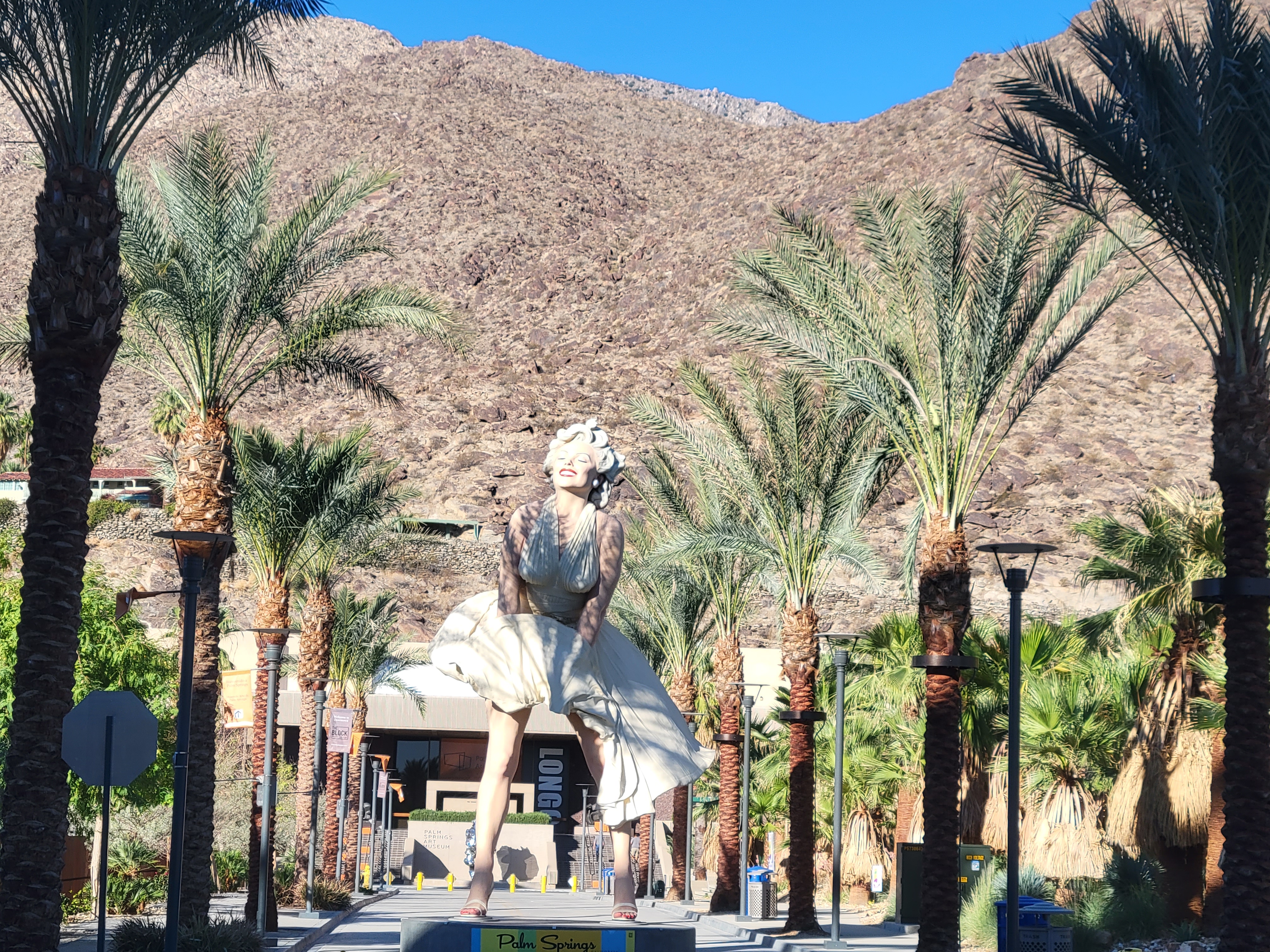 Palm Springs Pickup