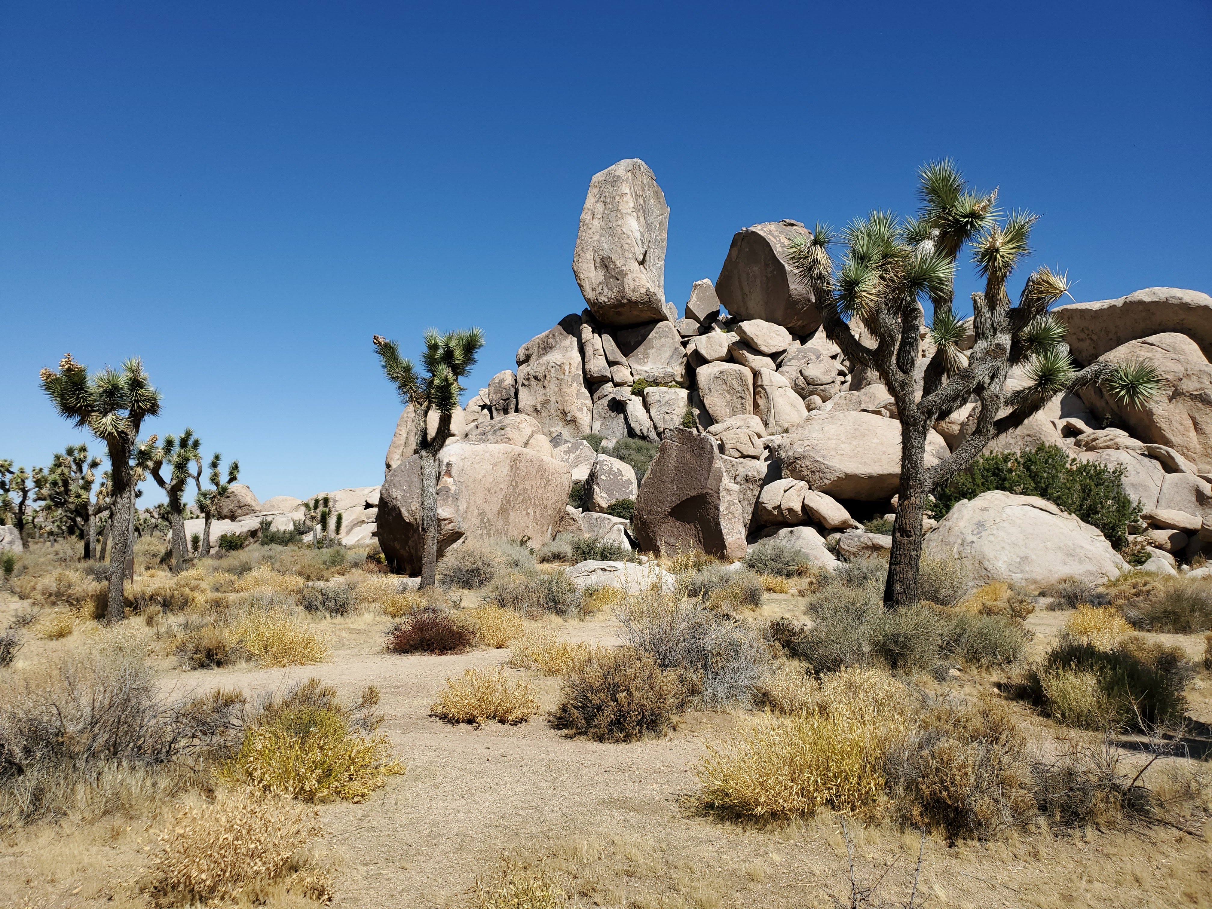 Cap Rock Stop - optional walk