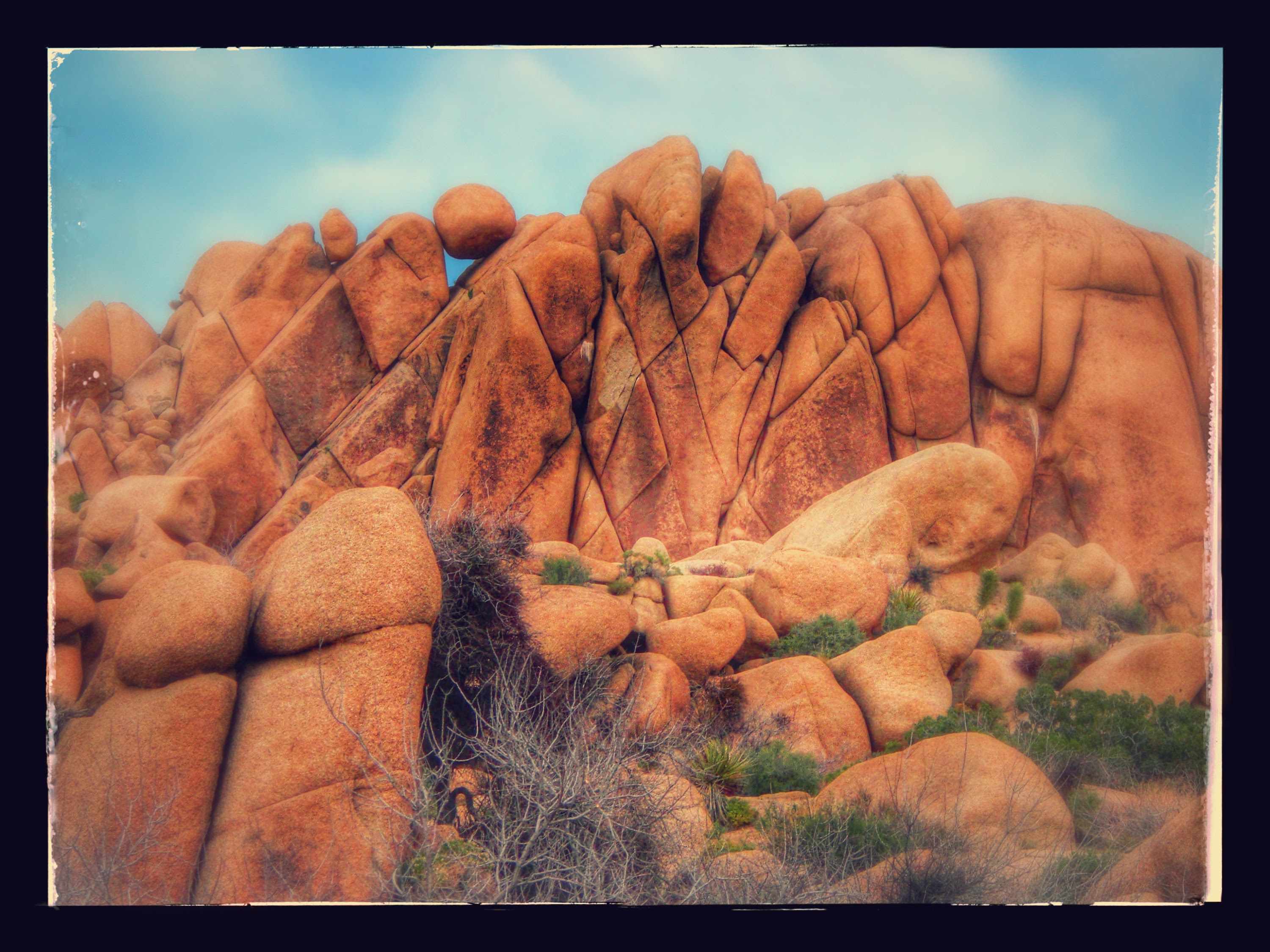 Joshua Tree National Park
