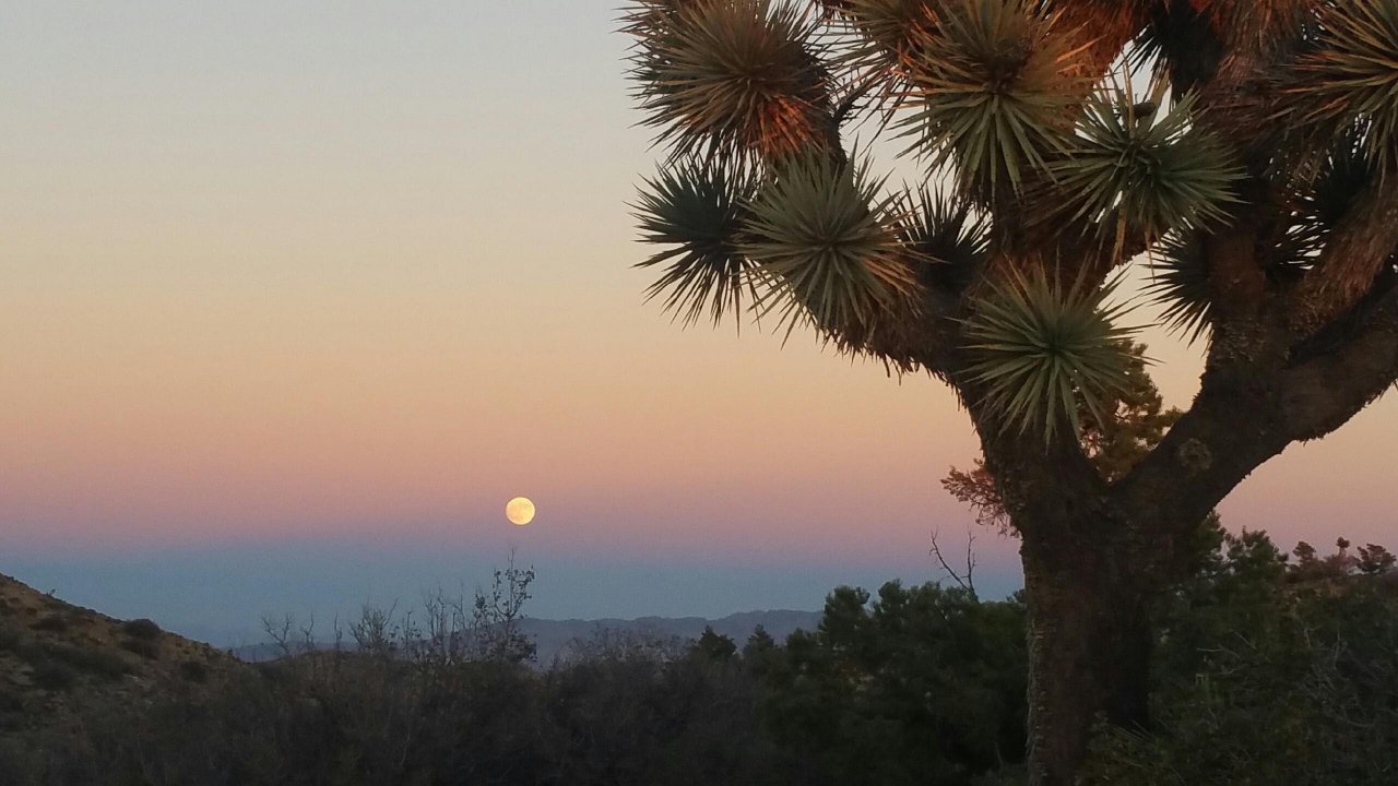 Sunset Point