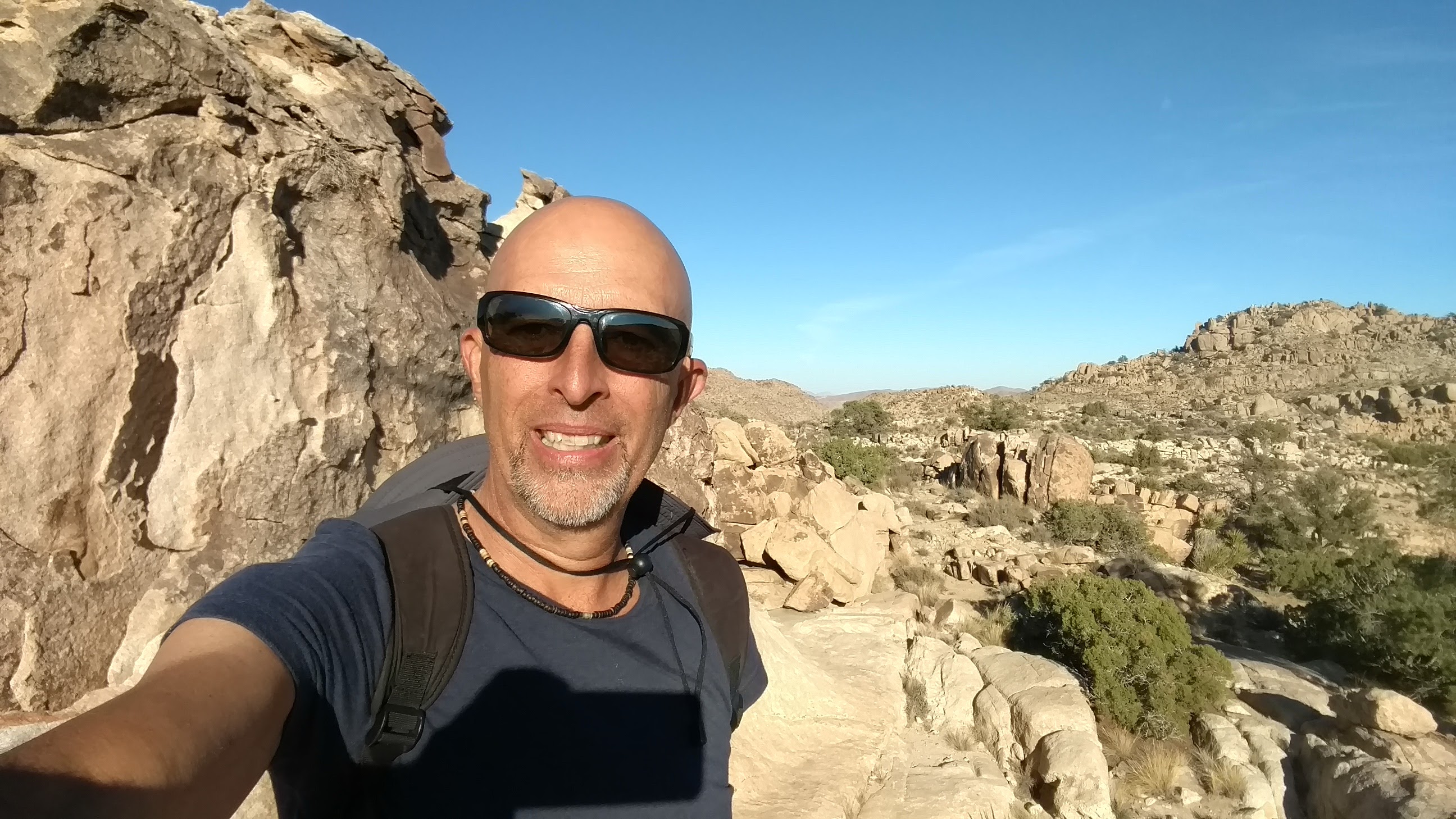 Joshua Tree Tour