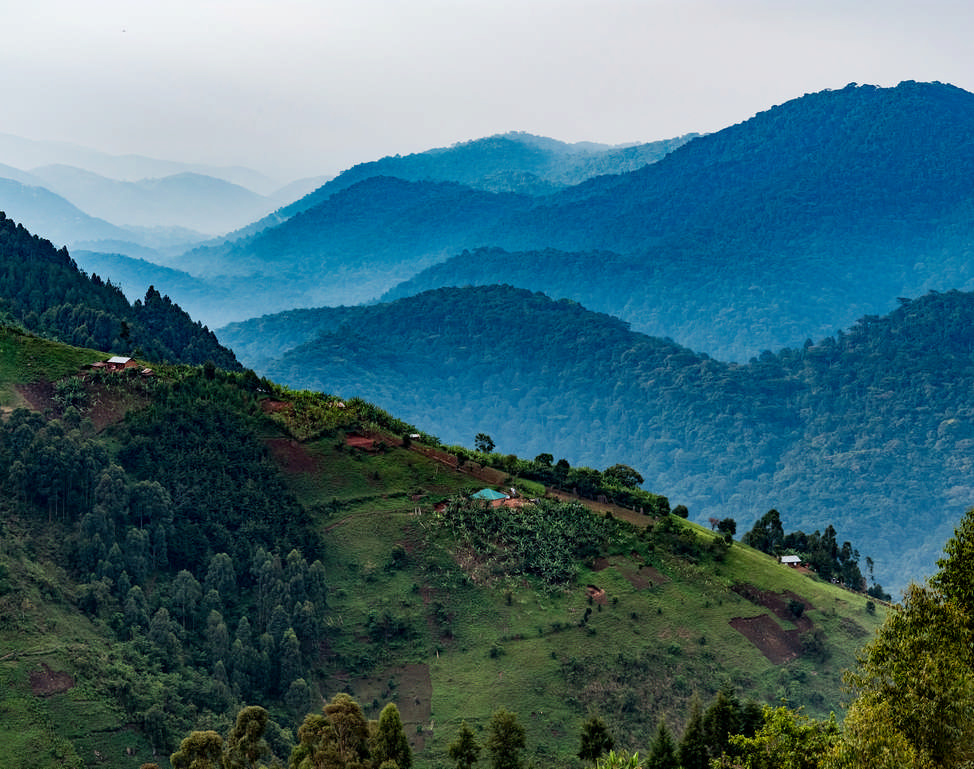 Spot wildlife on thrilling guided drives