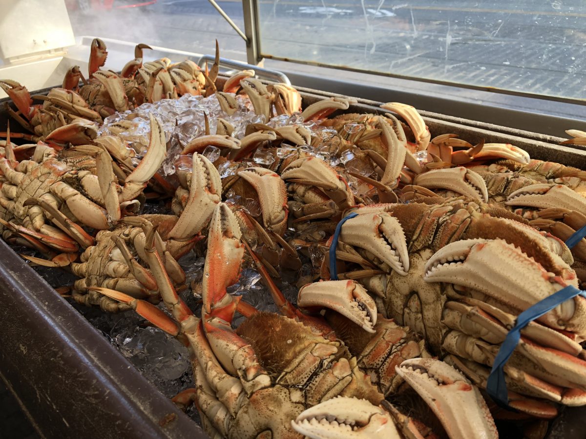 Clam Chowder in Sourdough Bread Bowl