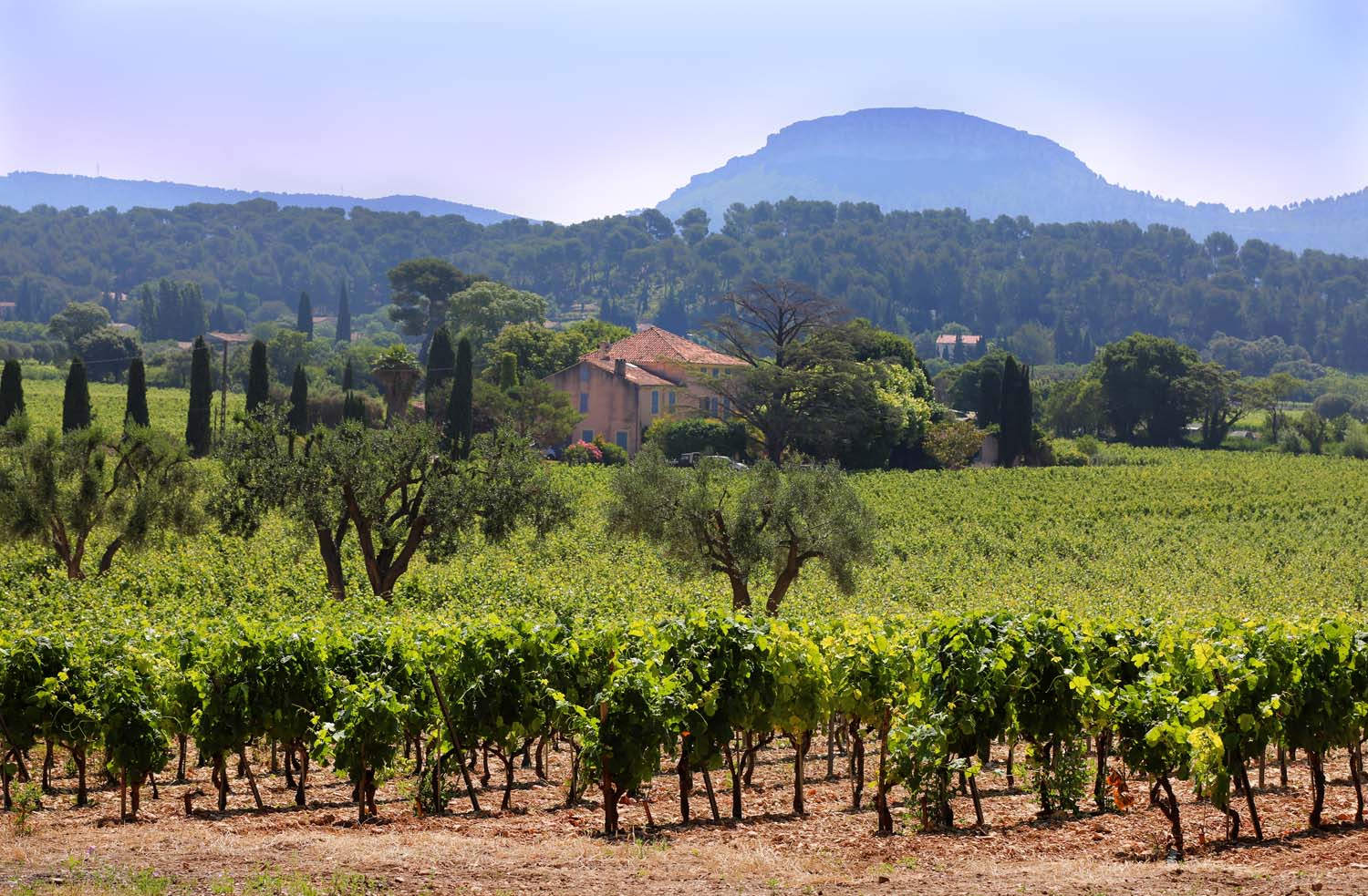 Winery