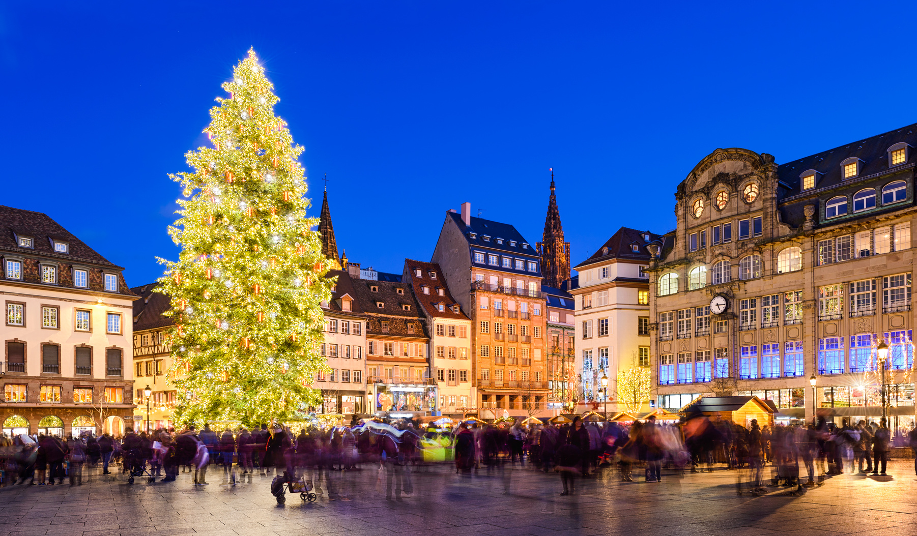 Illuminated Christmas tree towering over Strasbourg’s main square at dusk with crowds and historic buildings