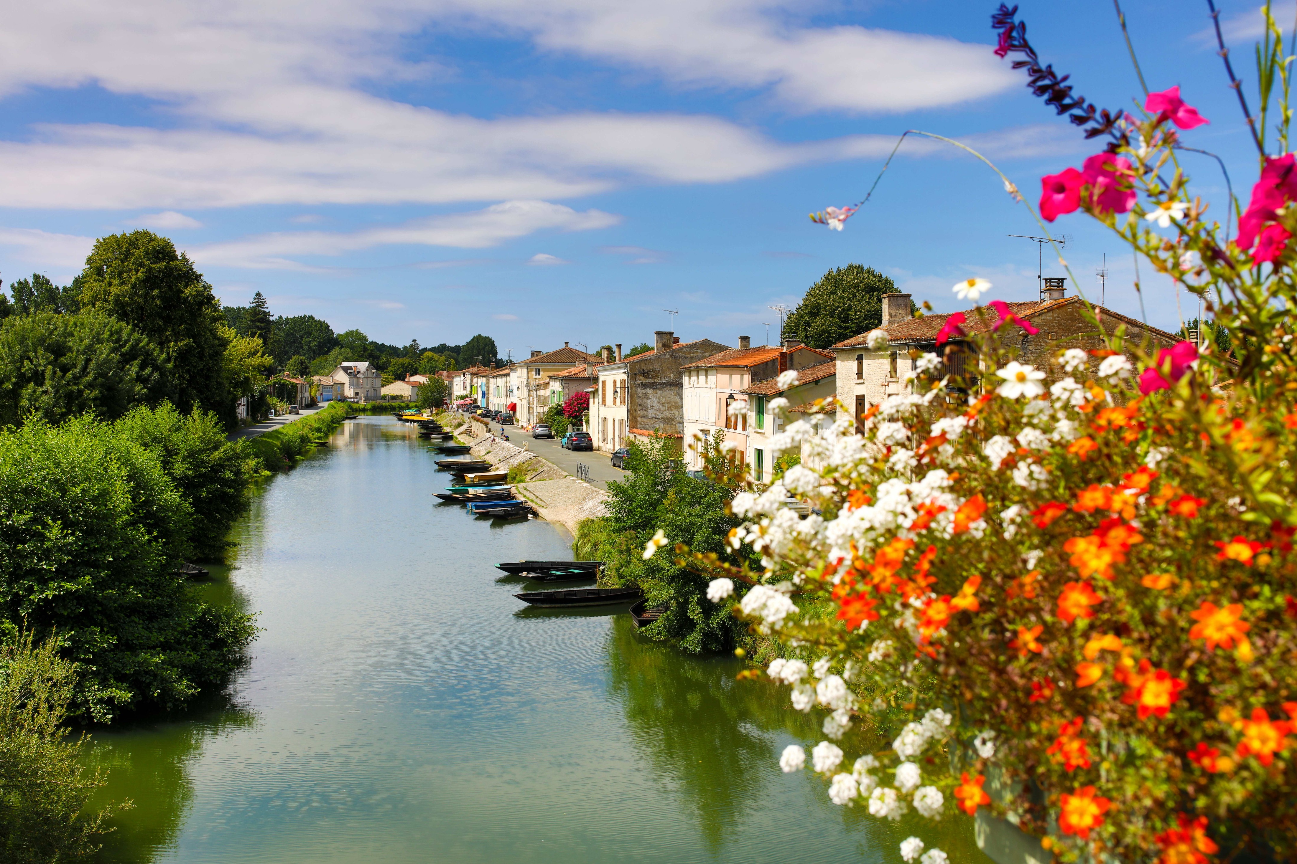 Flower-filled canal lined with traditional boats and village houses in Coulon, Marais Poitevin.