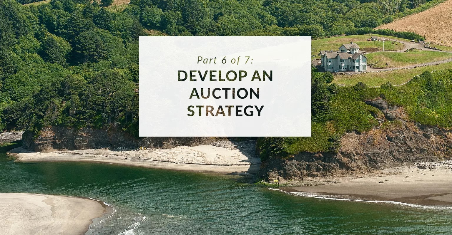 Part 6 of 7: The 7 Steps to Winning at Auction – Develop an Auction
