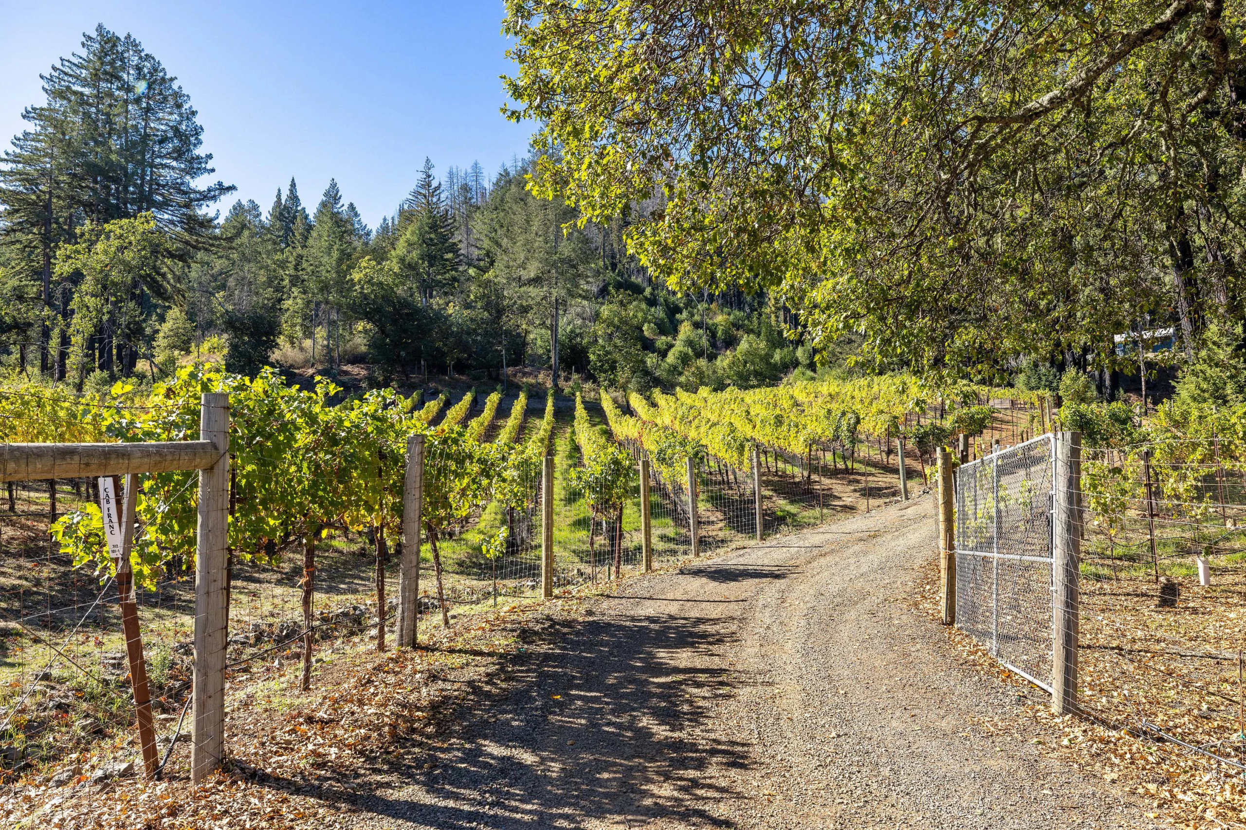 3390 Mount Veeder Road | Luxury Real Estate | Concierge Auctions