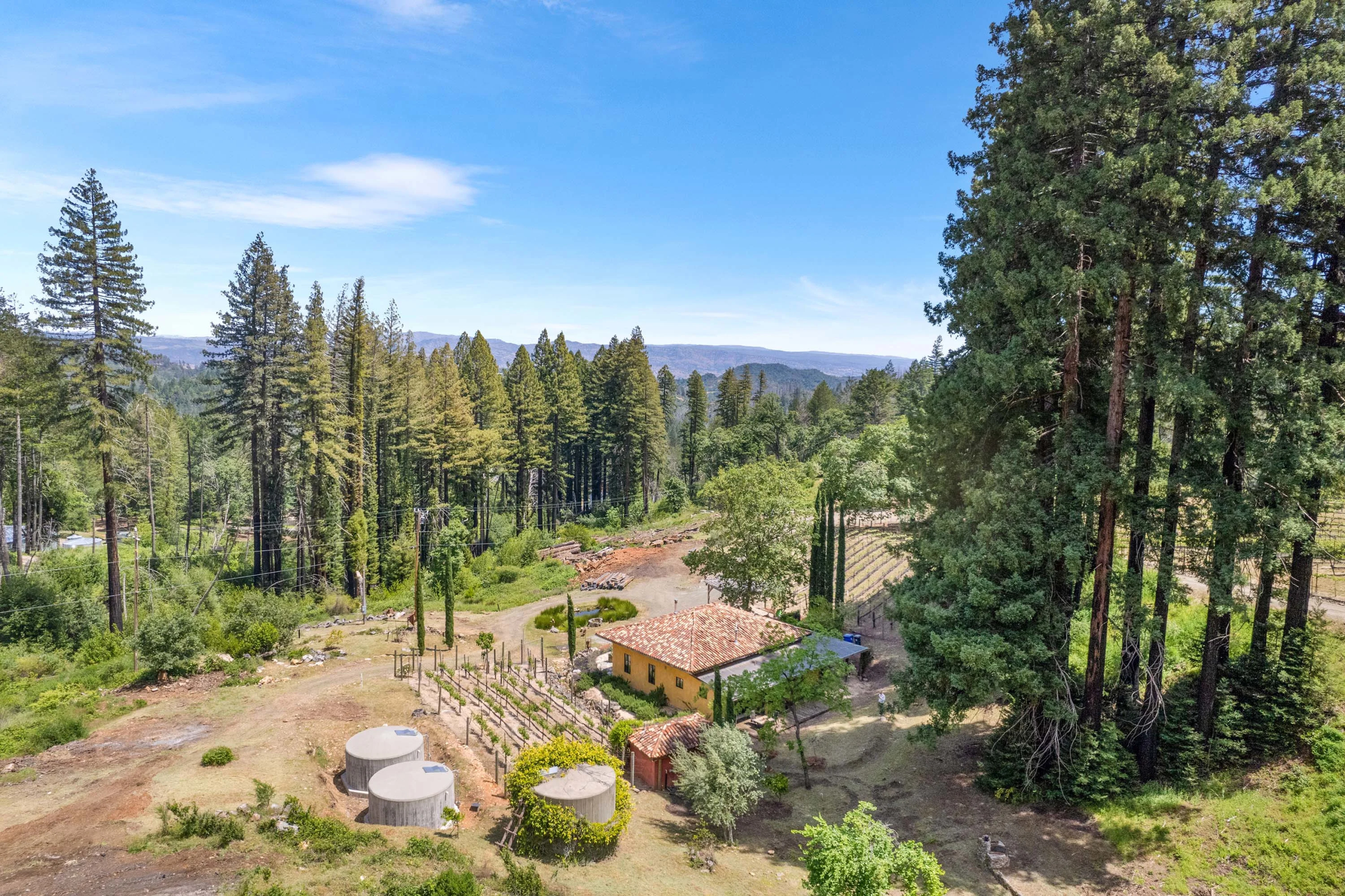 3390 Mount Veeder Road | Luxury Real Estate | Concierge Auctions
