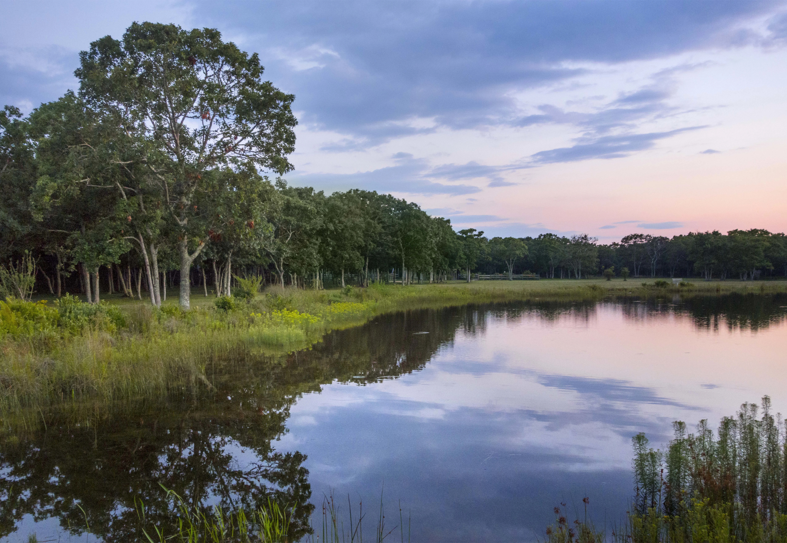 10 & 12 Boldwater Road | Martha's Vineyard, MA | Luxury Real Estate