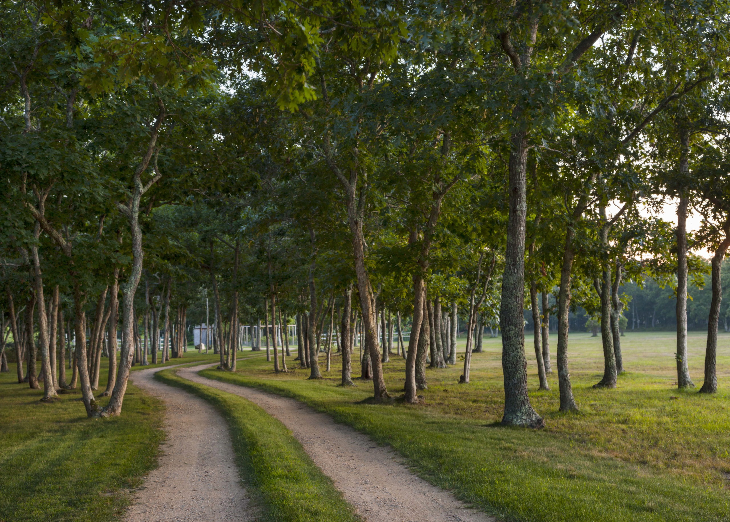 10 & 12 Boldwater Road | Martha's Vineyard, MA | Luxury Real Estate