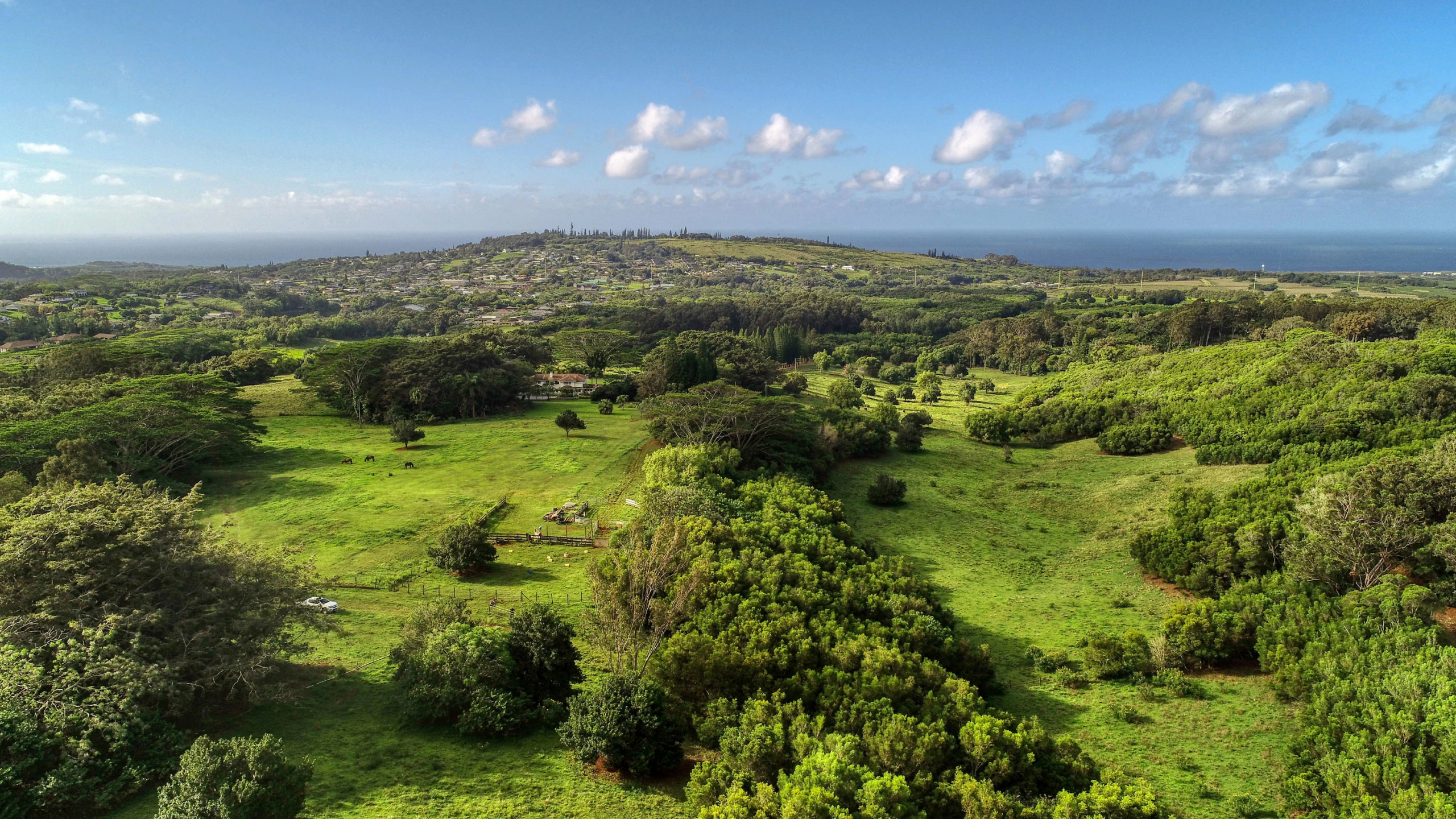 2-2131-Z Kaumualii Highway | Kalaheo, Hawaii | Luxury Real Estate