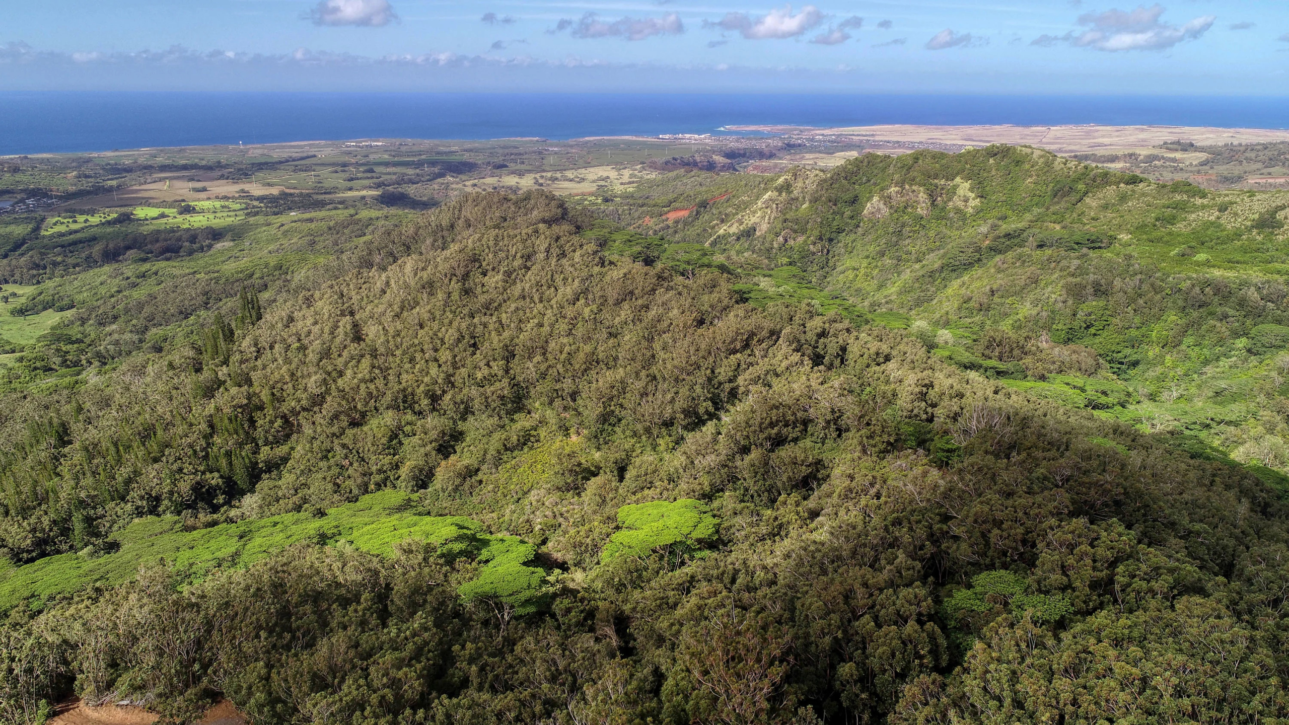 2-2131-Z Kaumualii Highway | Kalaheo, Hawaii | Luxury Real Estate