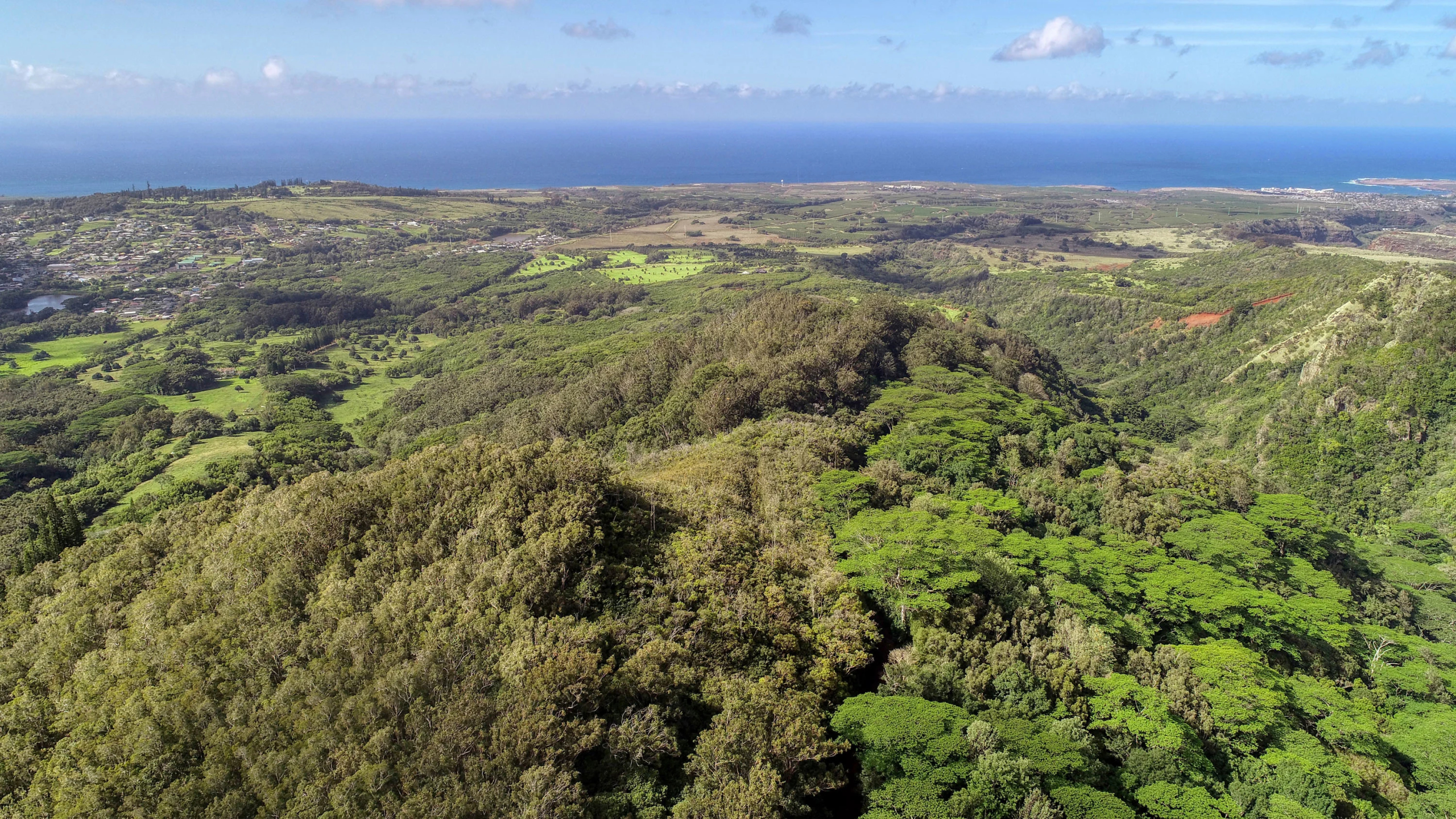 2-2131-Z Kaumualii Highway | Kalaheo, Hawaii | Luxury Real Estate