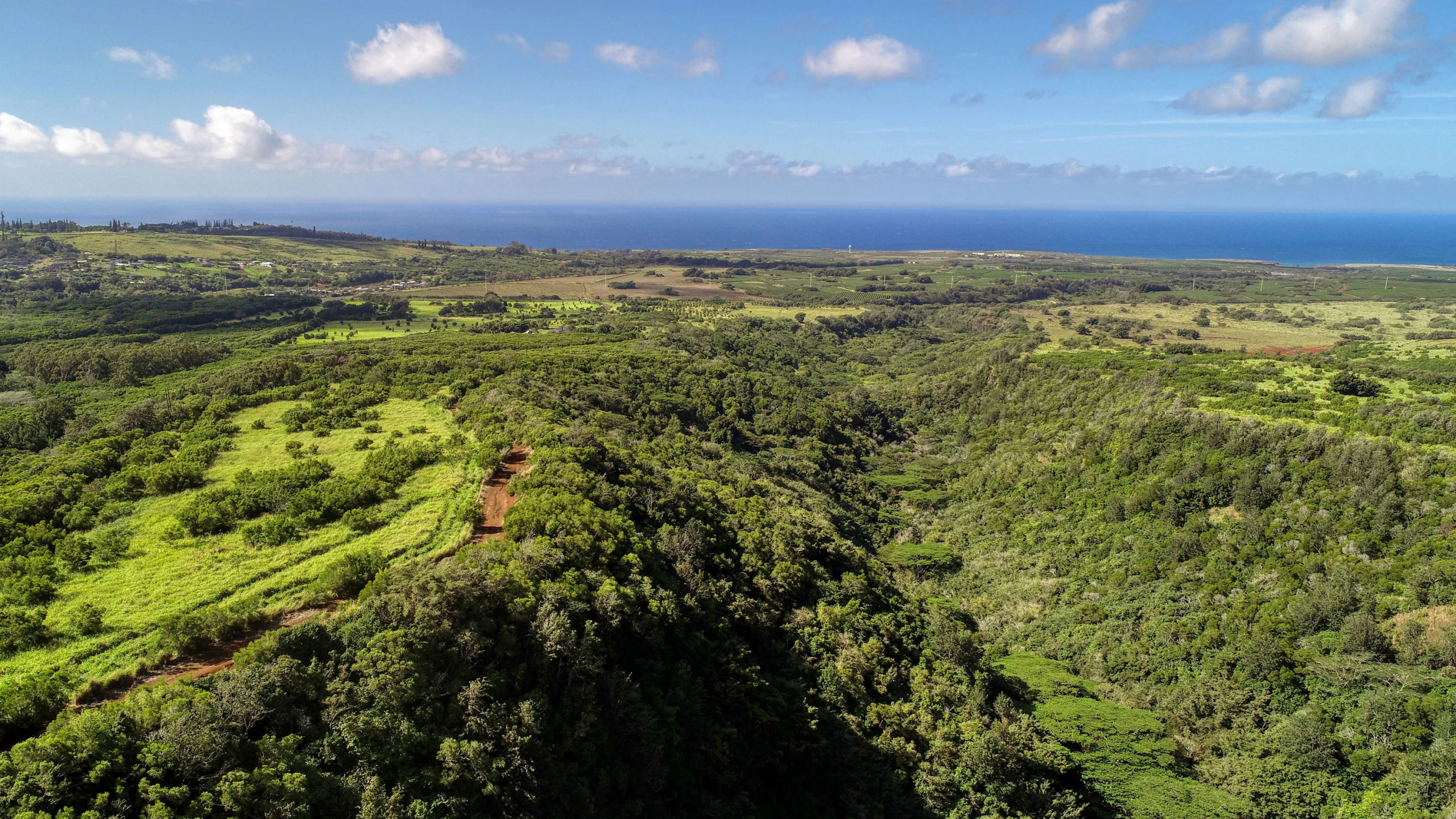 2-2131-Z Kaumualii Highway | Kalaheo, Hawaii | Luxury Real Estate