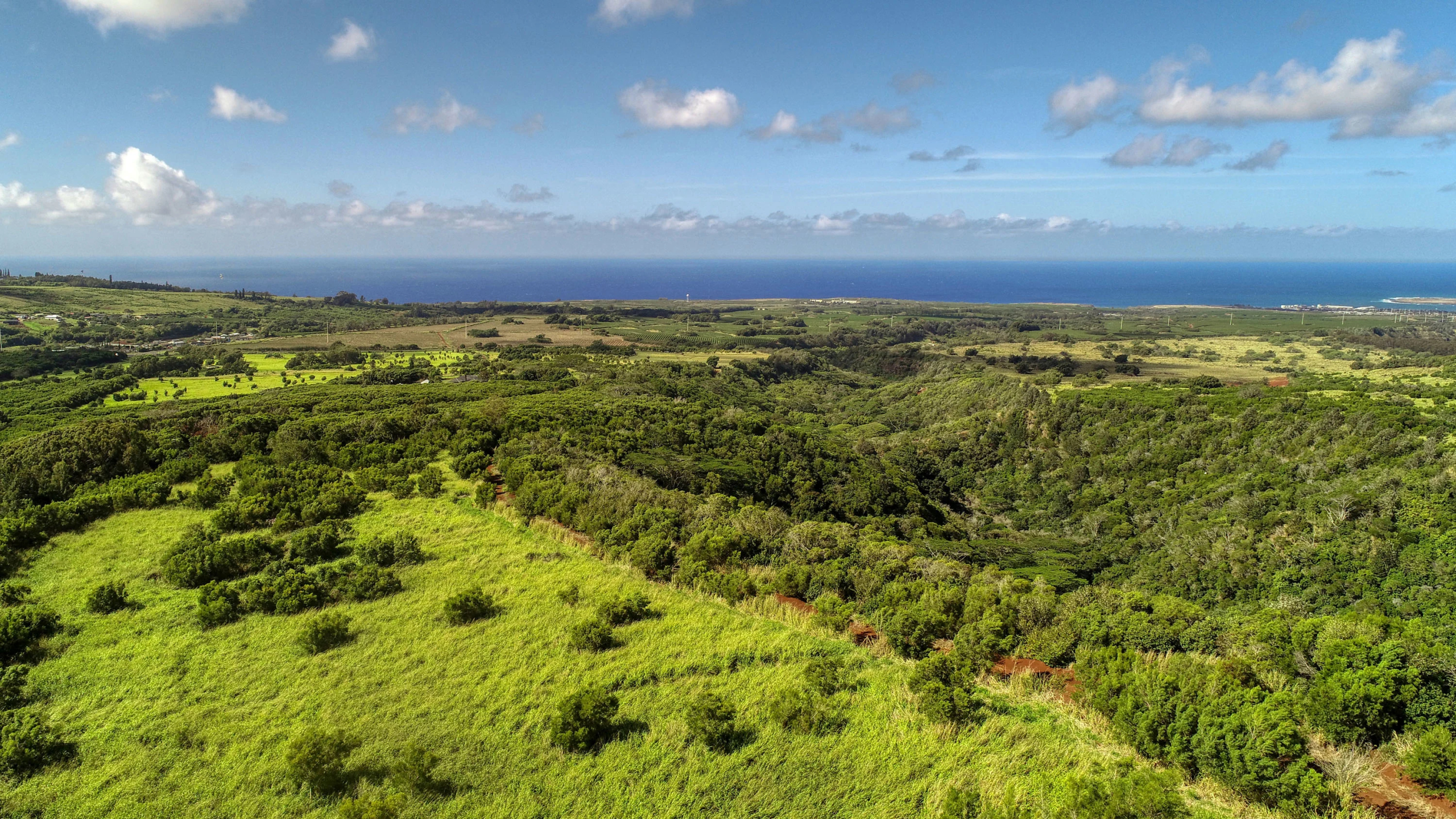 2-2131-Z Kaumualii Highway | Kalaheo, Hawaii | Luxury Real Estate