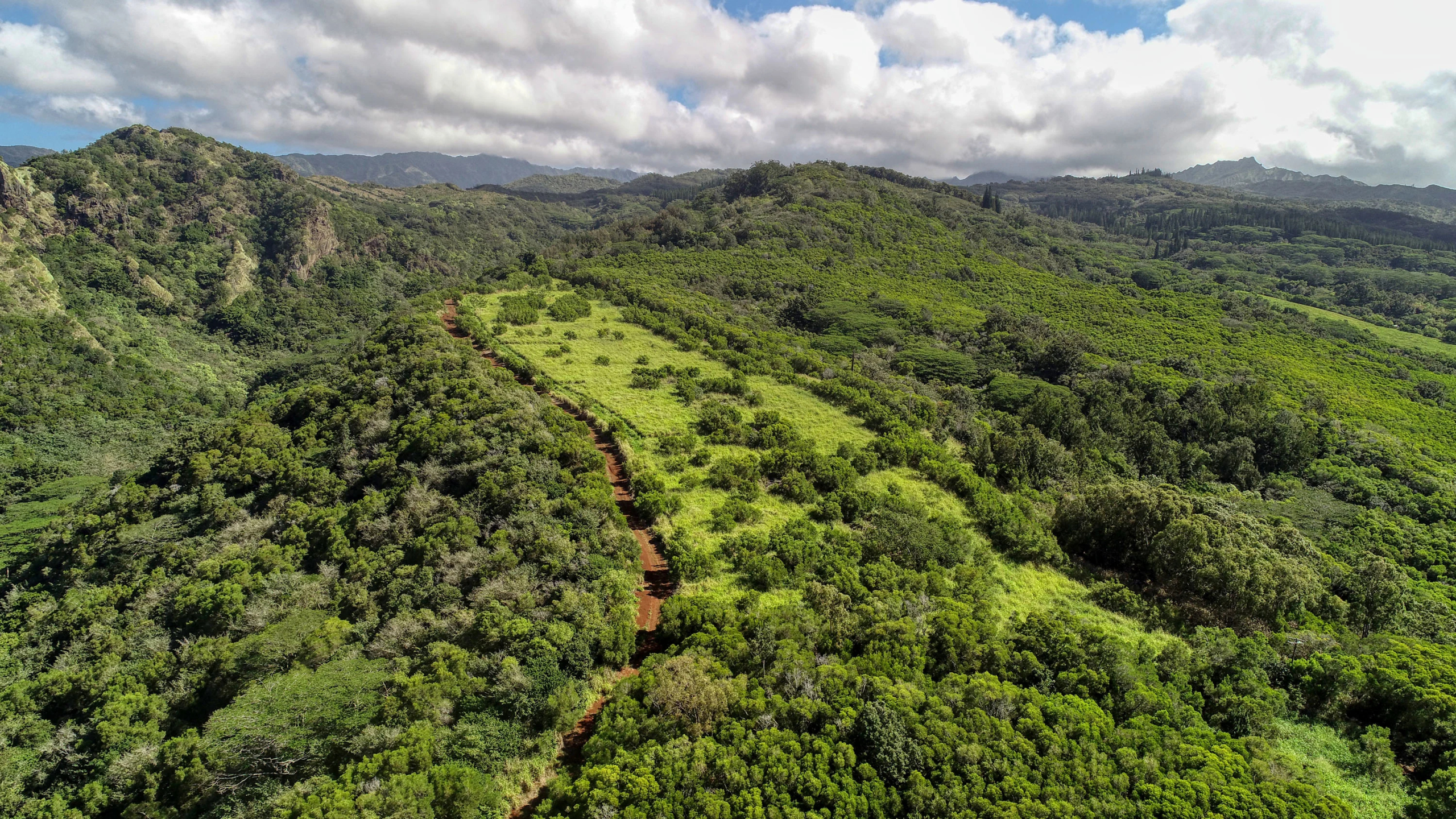 2-2131-Z Kaumualii Highway | Kalaheo, Hawaii | Luxury Real Estate