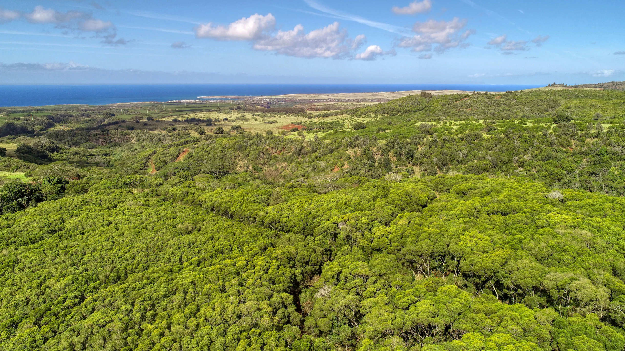 2-2131-Z Kaumualii Highway | Kalaheo, Hawaii | Luxury Real Estate