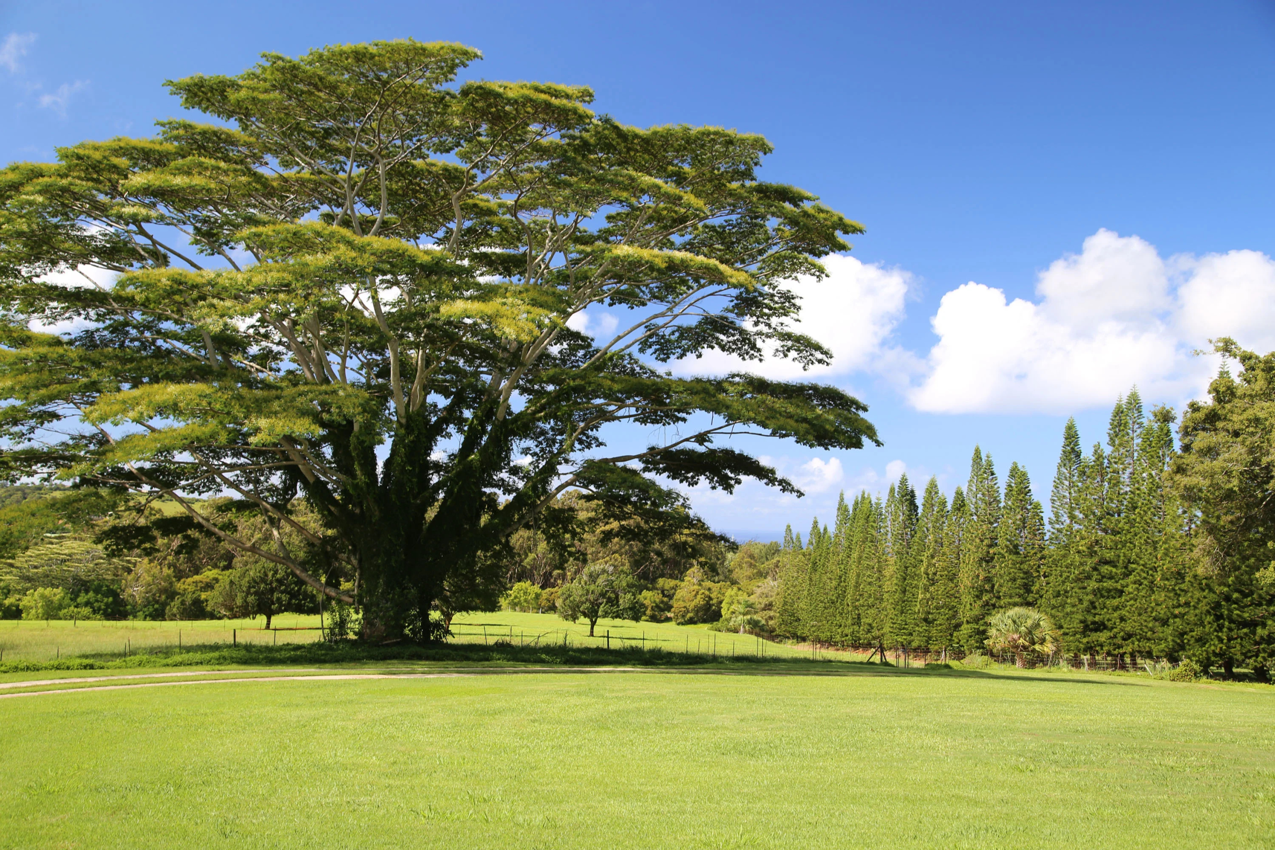 2-2131-Z Kaumualii Highway | Kalaheo, Hawaii | Luxury Real Estate