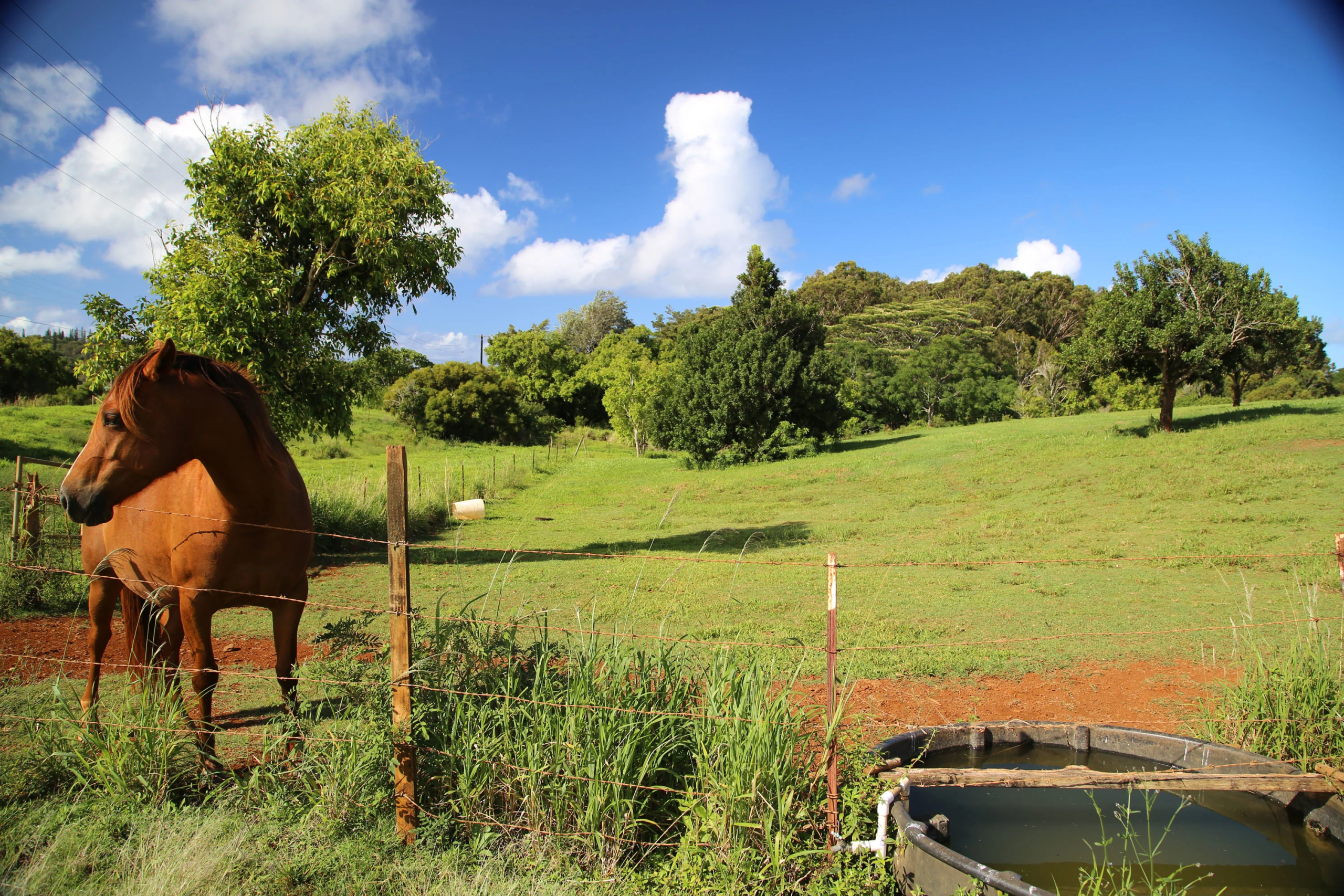 2-2131-Z Kaumualii Highway | Kalaheo, Hawaii | Luxury Real Estate