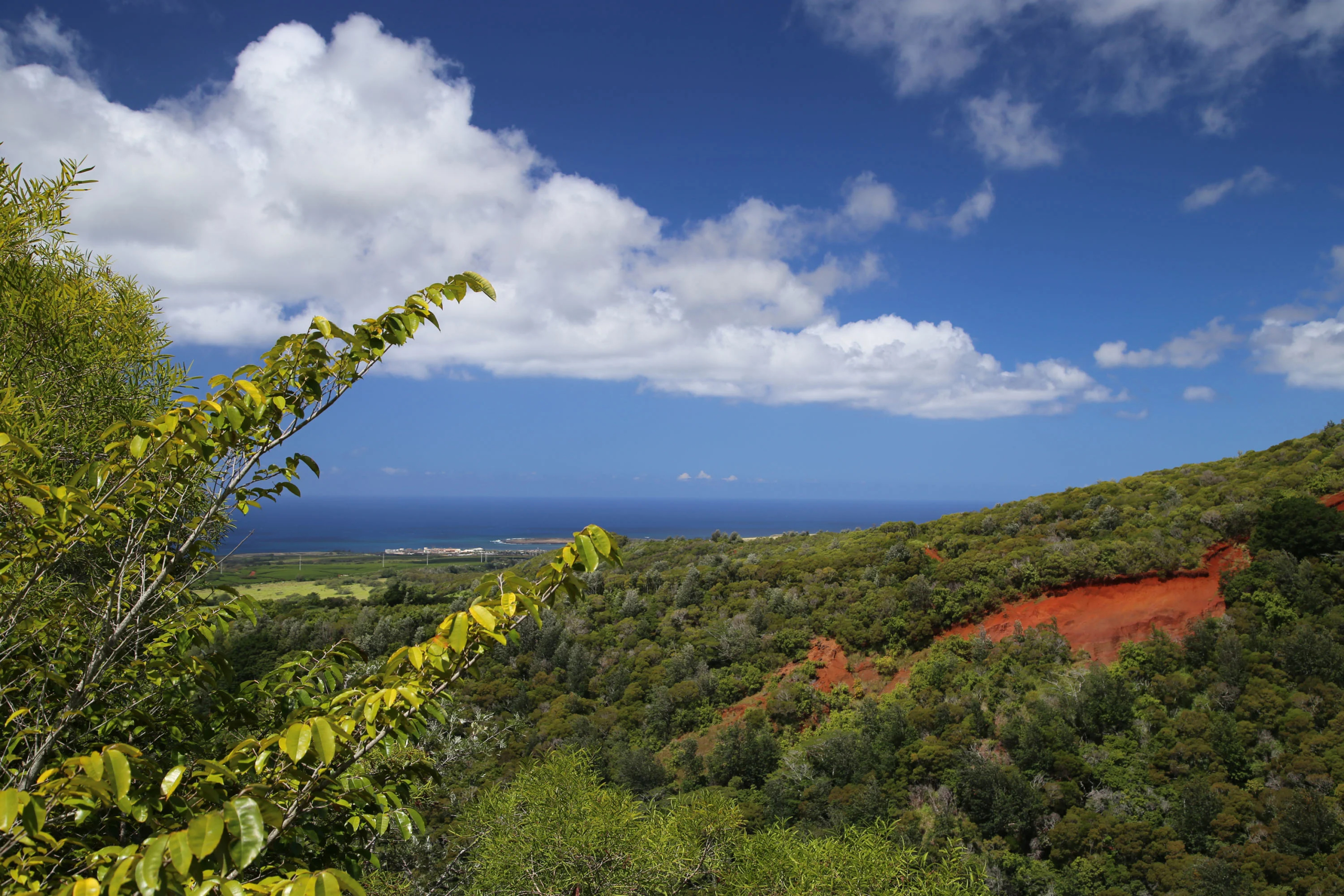 2-2131-Z Kaumualii Highway | Kalaheo, Hawaii | Luxury Real Estate