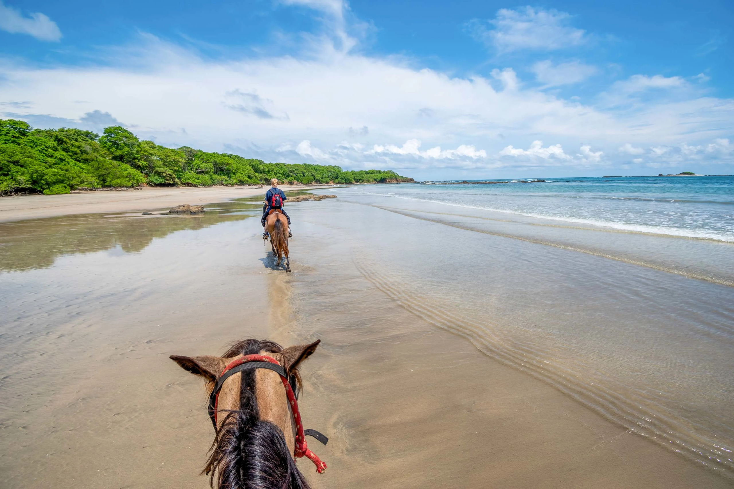 Stellar Villas, Playa Langosta, Tamarindo, Costa Rica | Luxury Real Estate | Concierge Auctions