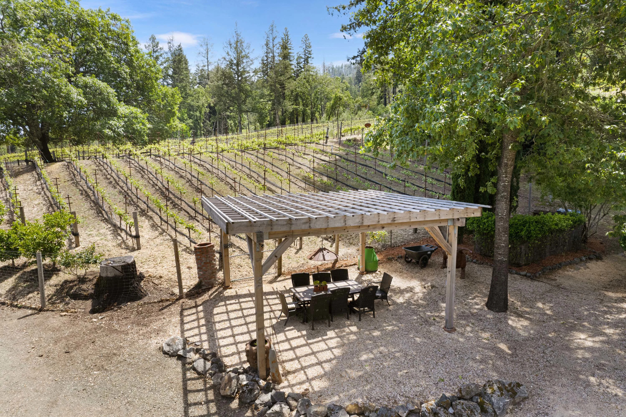 3390 Mount Veeder Road | Luxury Real Estate | Concierge Auctions