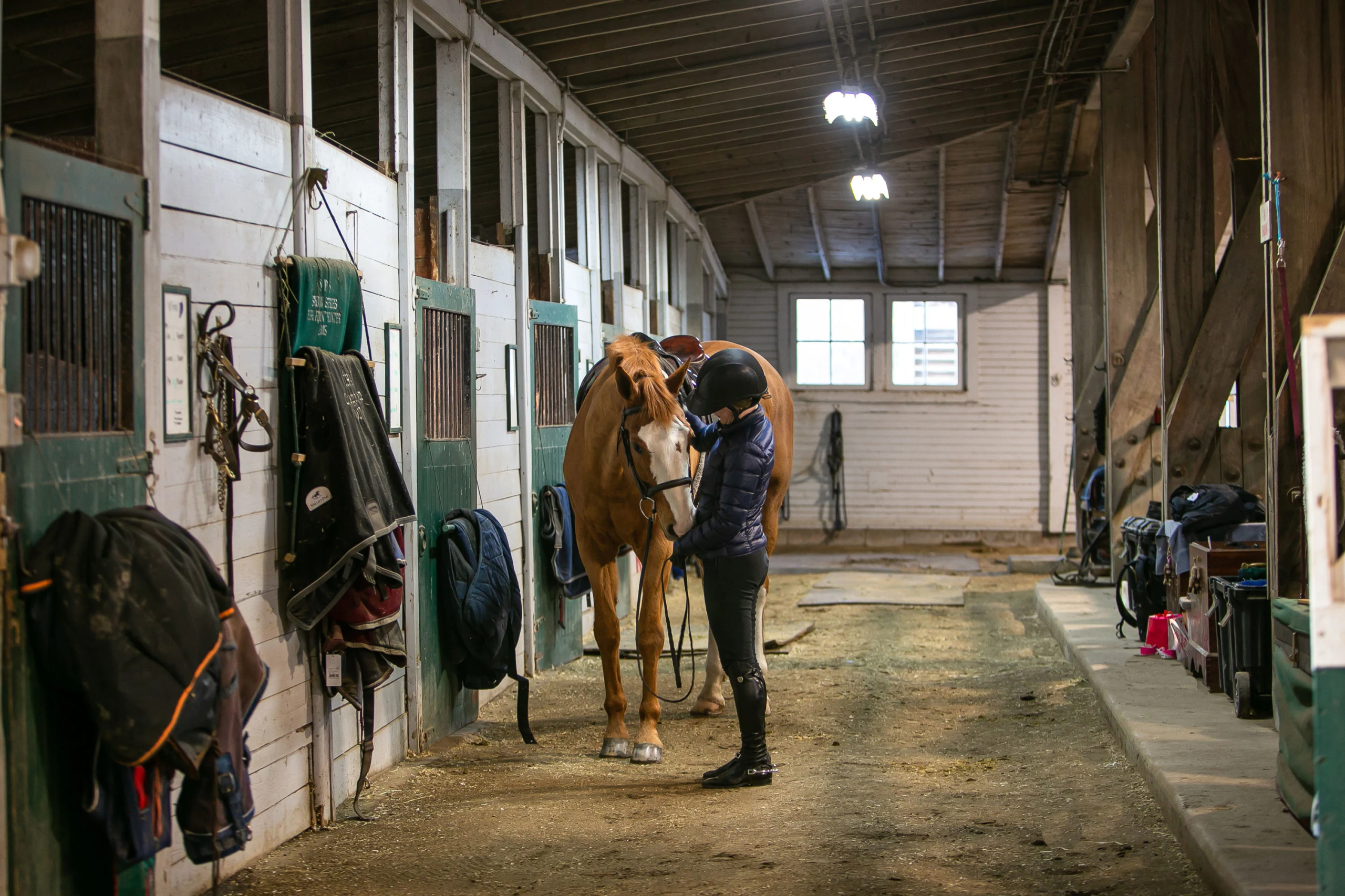 Sandy Point Farm | Portsmouth, RI | Luxury Real Estate | Concierge Auctions