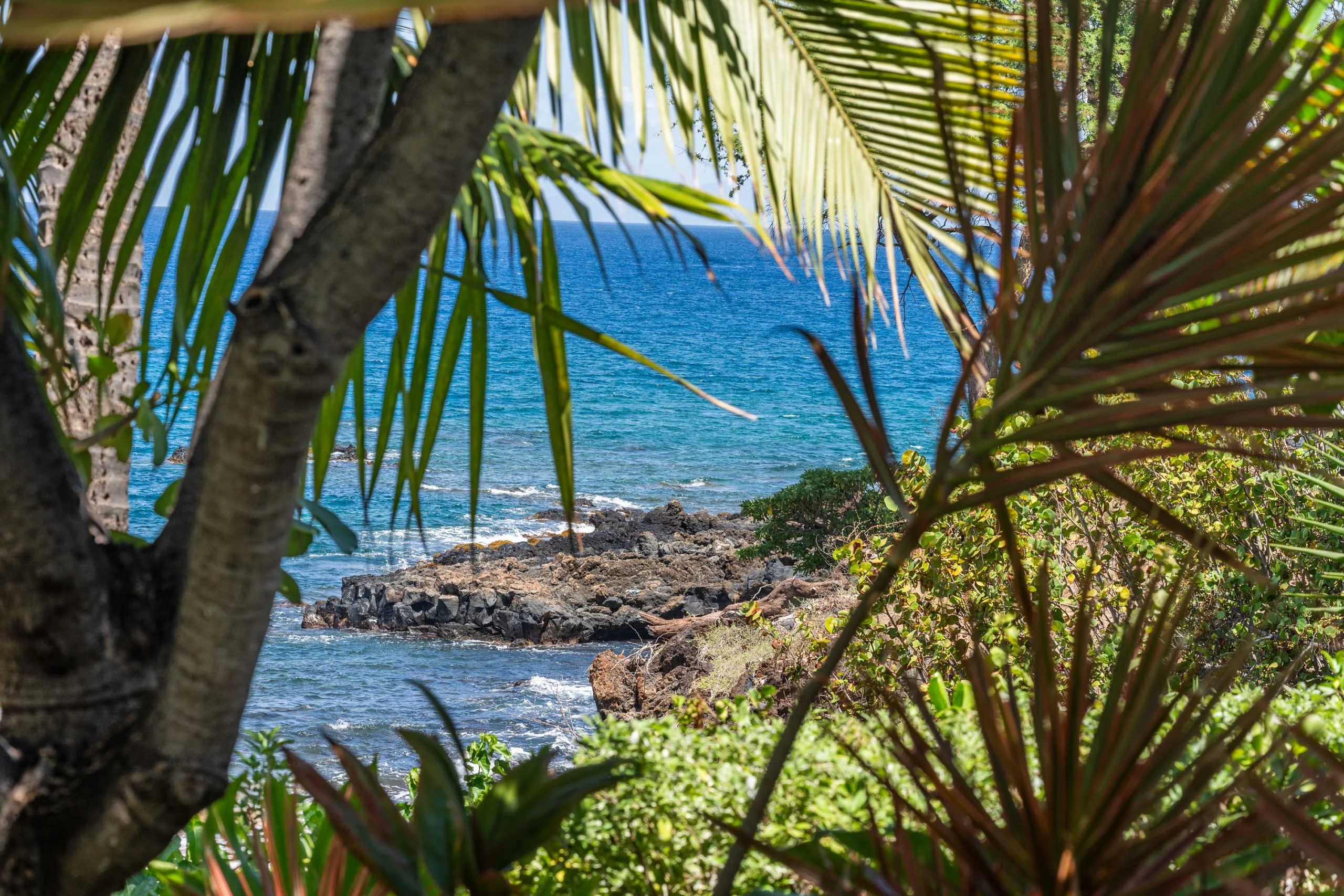 4610 Makena Road, Wailea-Makena, Maui, Hawaii | Luxury Real Estate | Concierge Auctions